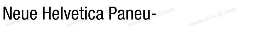 Neue Helvetica Paneu字体转换